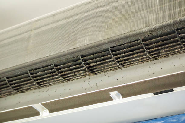 Best Air Duct Cleaning Company Near Me  in Bishop, CA